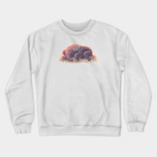 Baby Elephant Sleeping Crewneck Sweatshirt